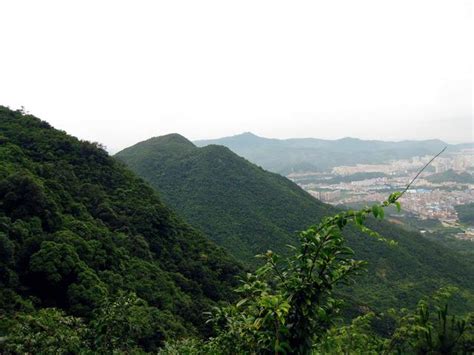 東莞 樟木頭